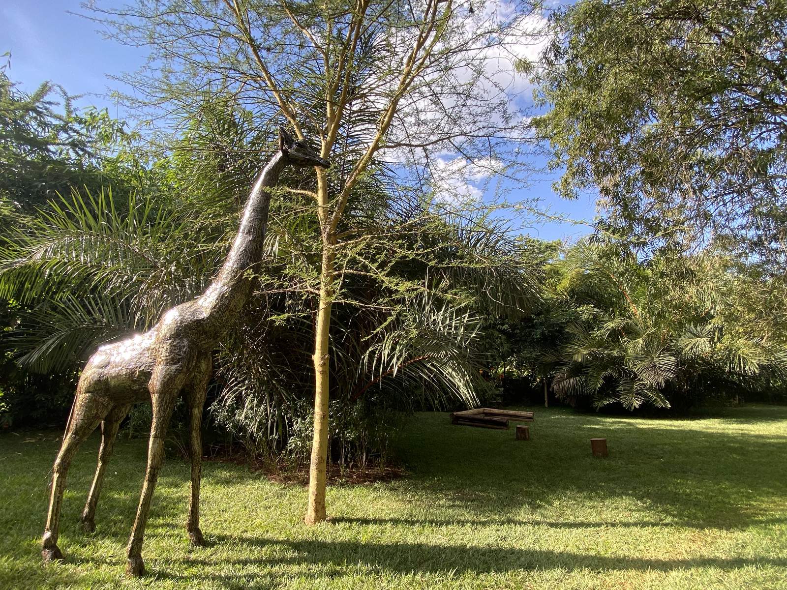 Maarifa Park - Gallery 4